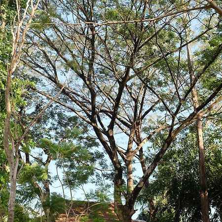 Rumah Jah Langkawi パンタイ・サナング エクステリア 写真