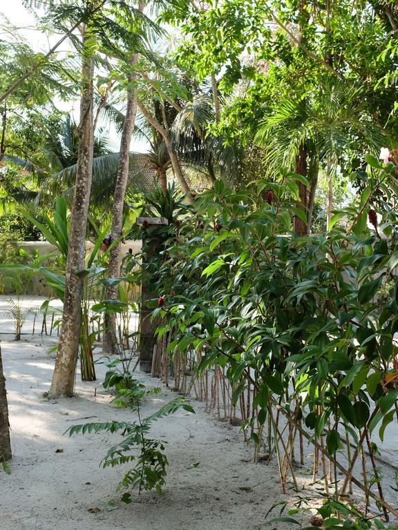 Rumah Jah Langkawi パンタイ・サナング エクステリア 写真